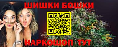 индика Ливны