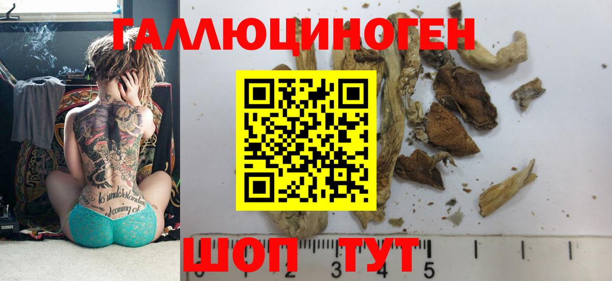 где можно купить   Вход с VPN  Калининград  Галлюциногенные грибы ЛСД  Псилоцибиновые грибы Magic Shrooms 