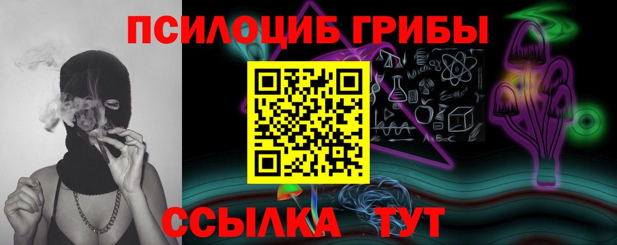 Псилоцибиновые грибы мухоморы Калининград